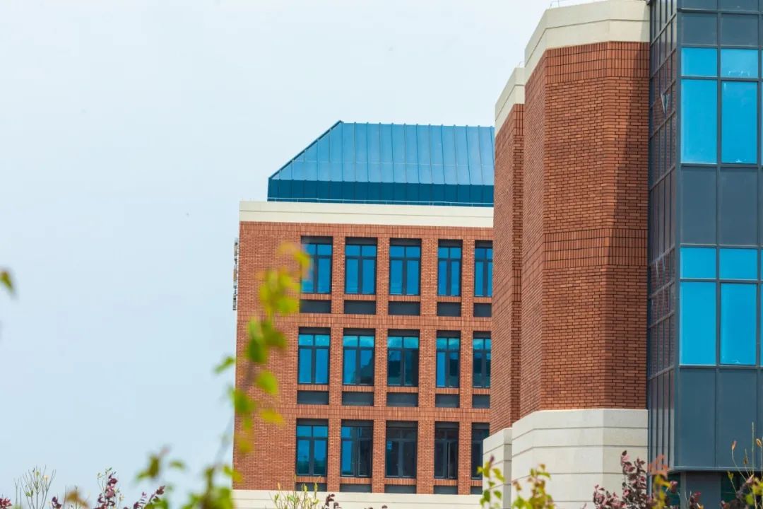 1660708469658688.jpeg 1660708469658688.jpeg