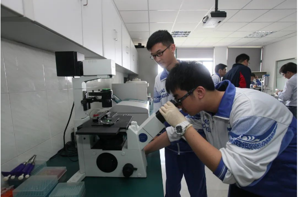 1663377804809018.png 1663377804809018.png