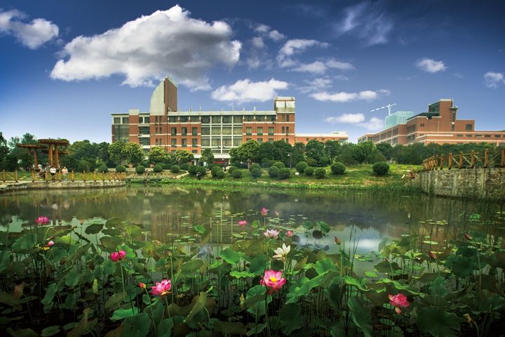 1750663050154389.jpeg CB45B79431995640E76B7042755_8F52DB11_50EBB.jpg