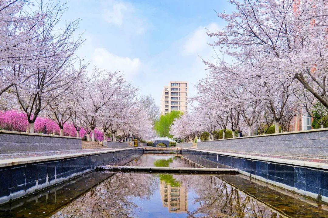 1750750035360212.jpeg 1750750035360212.jpeg