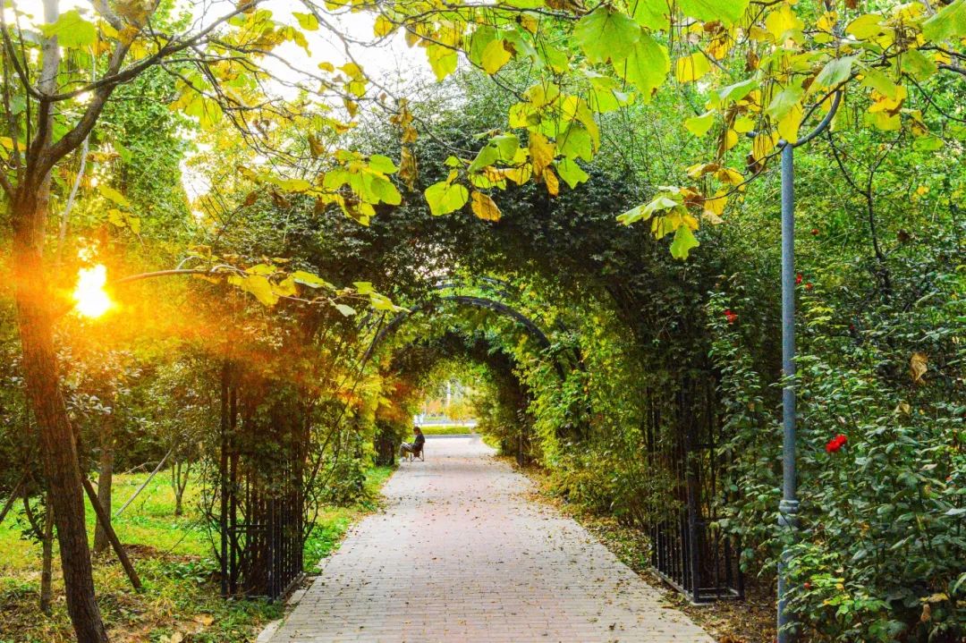 1750750101439777.jpeg 1750750101439777.jpeg